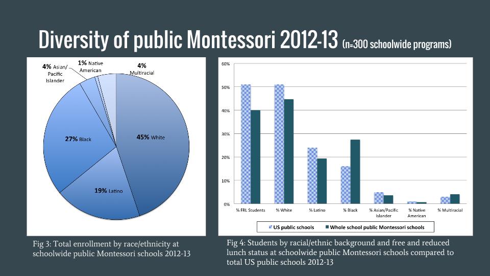 Diversity in Public Montessori