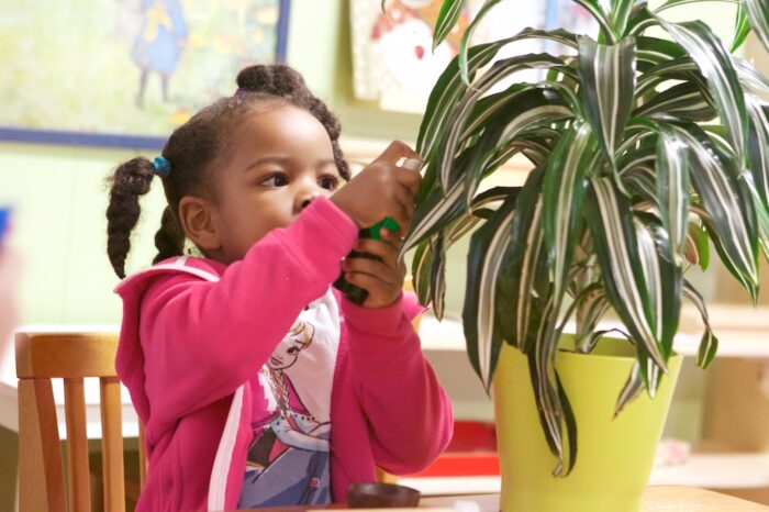 Public, Private, or Something in Between? A New Model for Montessori Schools