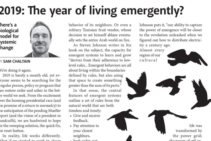 2019: The year of living emergently?