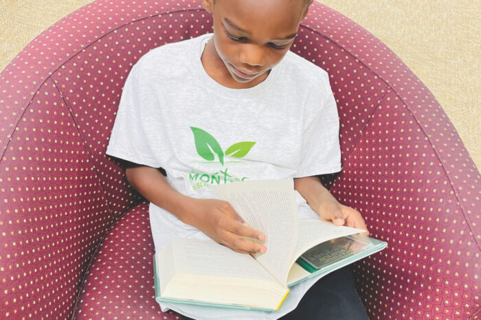 How children learn to read: An overview
