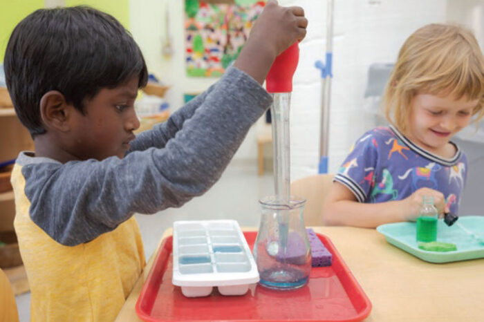 Montessori as an innovation model