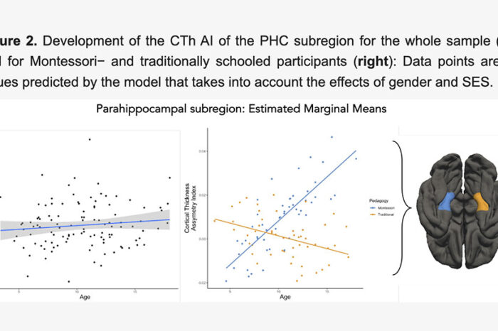 New study shows that Montessori fosters deep learning and knowledge transfer