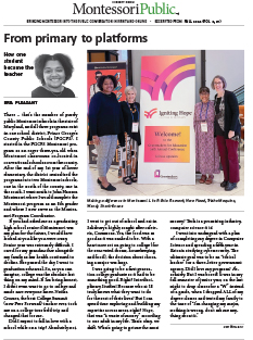 From primary to platforms